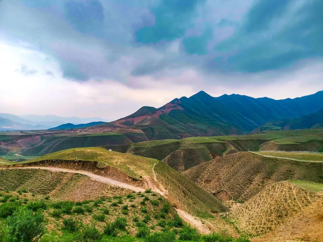 1663386421242216.jpg 1.jpg