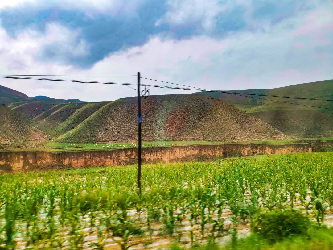 1663386448456933.jpg 3.jpg