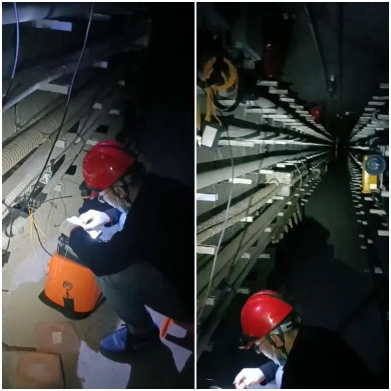 1739179934222204.jpg 7.jpg