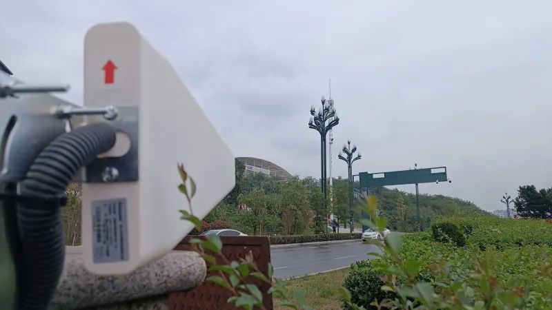 1739180011857685.jpg 10.jpg